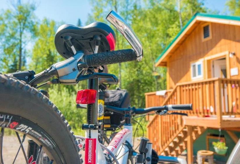 פנסיון Talkeetna Lovelee Cabins