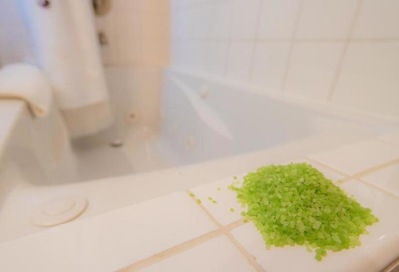 פנסיון Talkeetna Lovelee Cabins