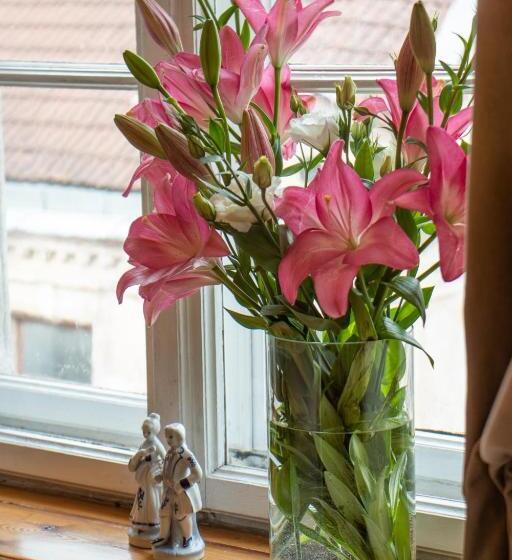 Roberta Hercberga Apartamenti