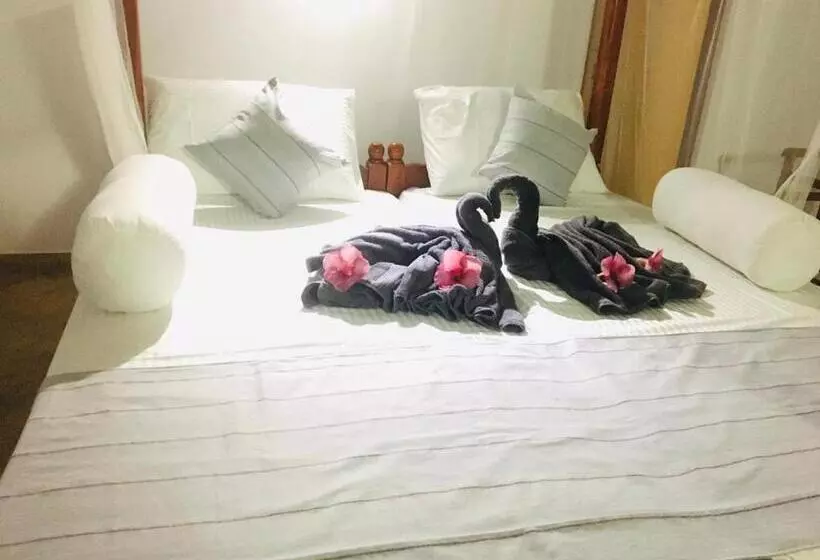 ユースホステル Dilena Beach Inn