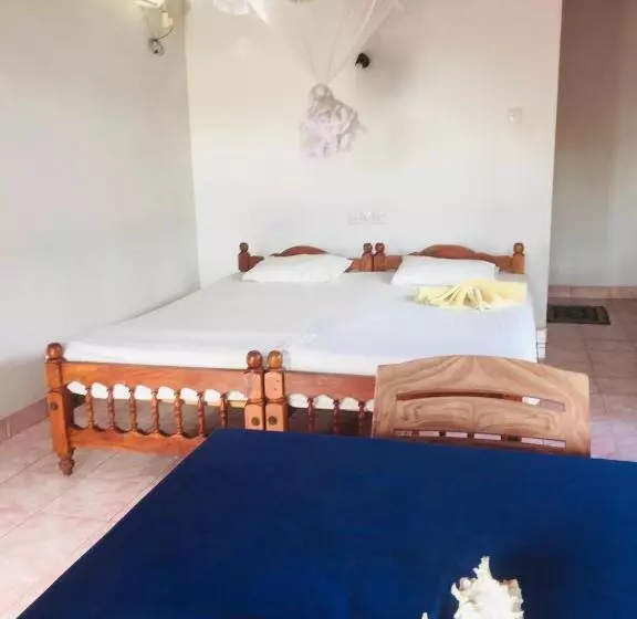 ユースホステル Dilena Beach Inn