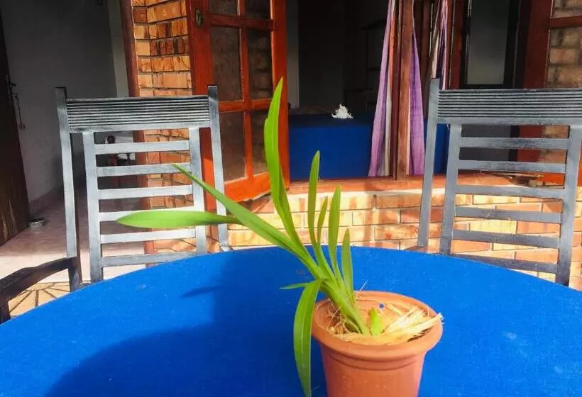 ユースホステル Dilena Beach Inn