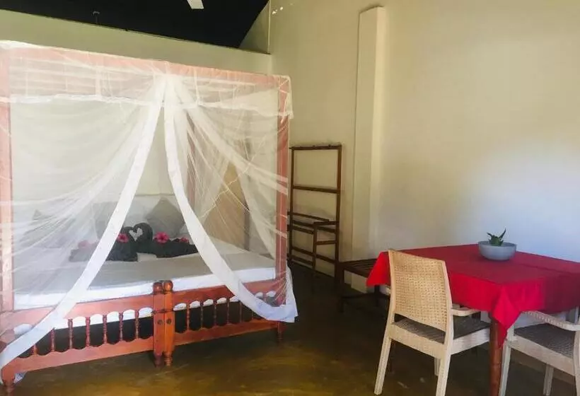 ユースホステル Dilena Beach Inn