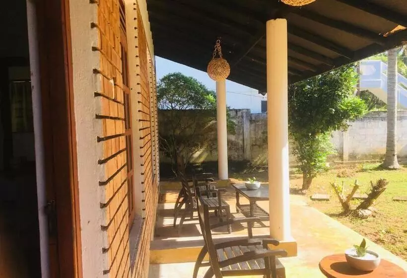 ユースホステル Dilena Beach Inn