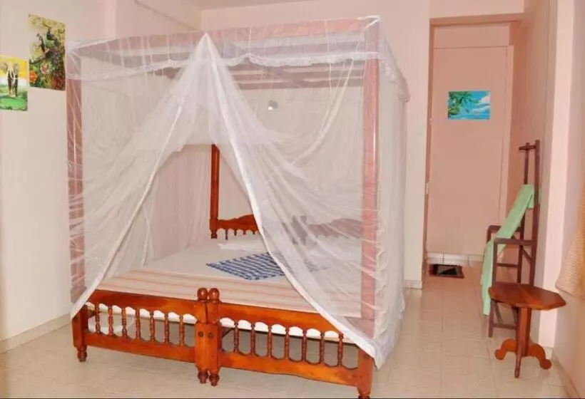 ユースホステル Dilena Beach Inn