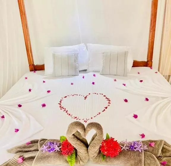 ユースホステル Dilena Beach Inn