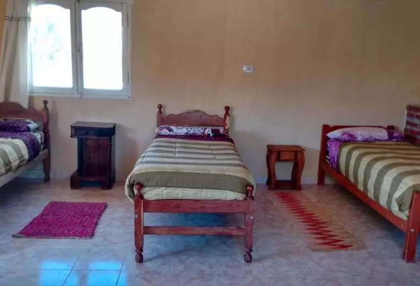 هاستل Hospedaje Elias