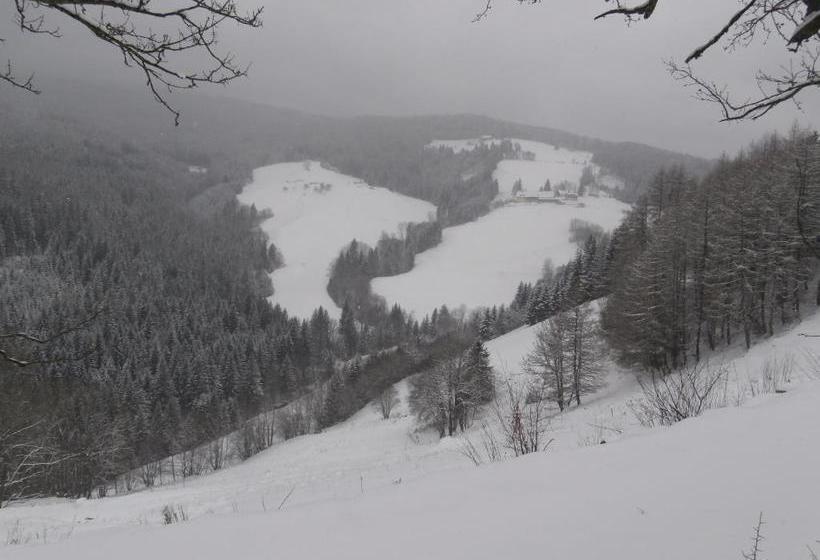 호텔 Leitnerhütte