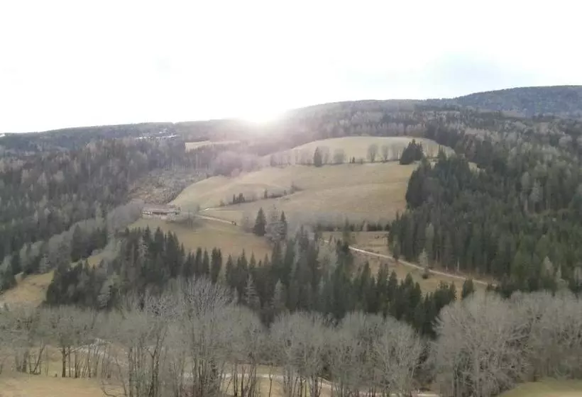 Hotel Leitnerhütte