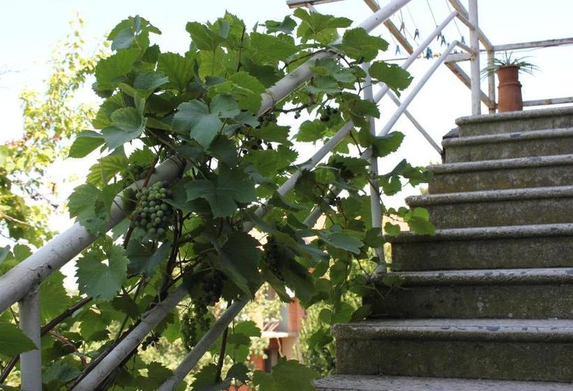 پانسیون Guest House Gidi