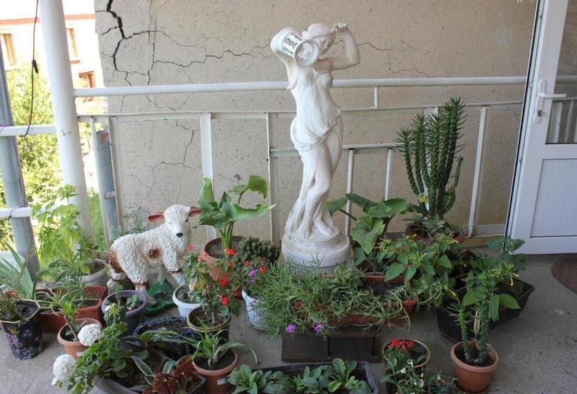 پانسیون Guest House Gidi