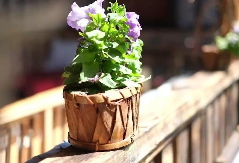 پانسیون Complex Monastery