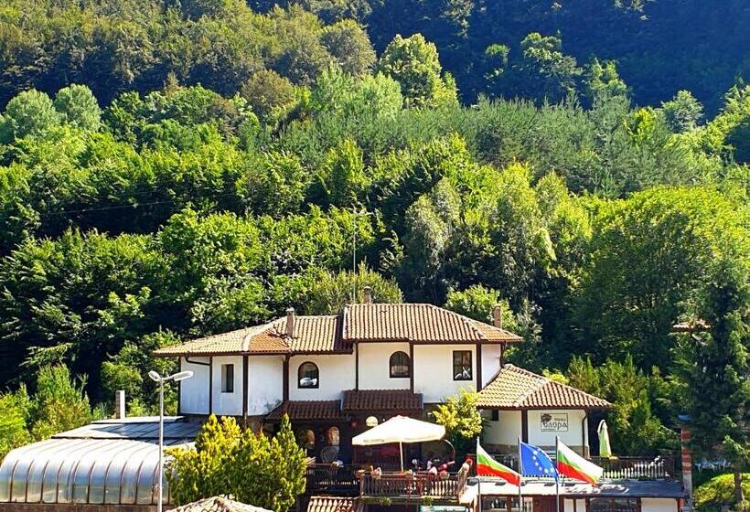 Пансион Guest House Elora