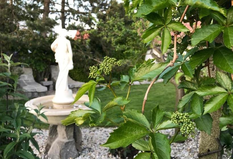 ペンション Relaxační Studio Vera S Ubytováním