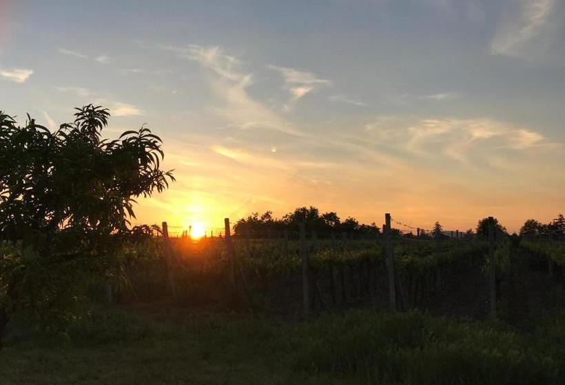 ペンション Relaxační Studio Vera S Ubytováním