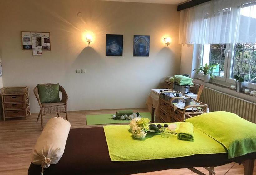 ペンション Relaxační Studio Vera S Ubytováním