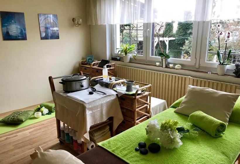 ペンション Relaxační Studio Vera S Ubytováním