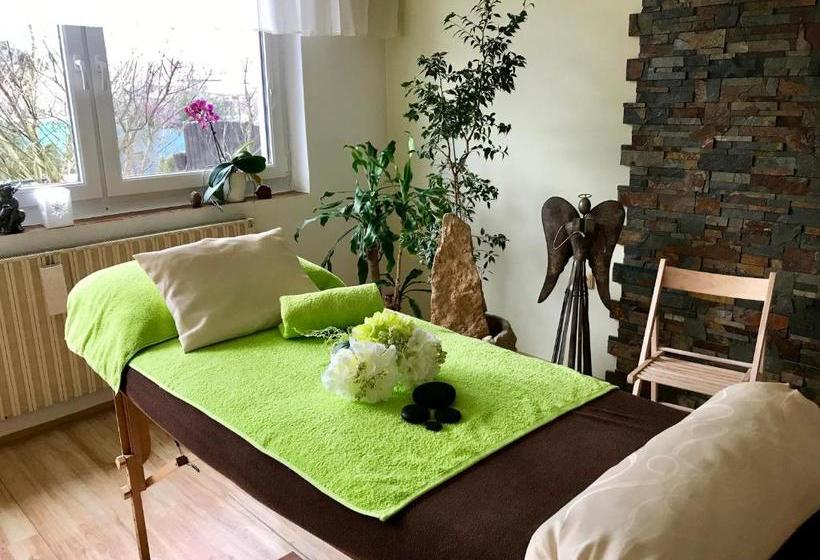 ペンション Relaxační Studio Vera S Ubytováním