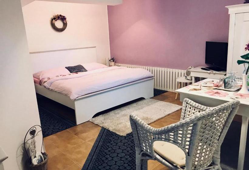 ペンション Relaxační Studio Vera S Ubytováním