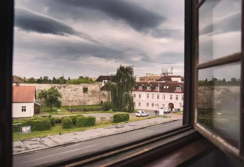 ペンション Guesthouse Zlatý Hrozen
