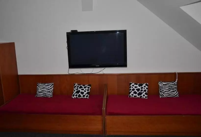 ペンション Guesthouse Zlatý Hrozen