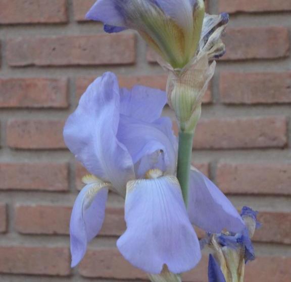 Hostel Posada La Escondida