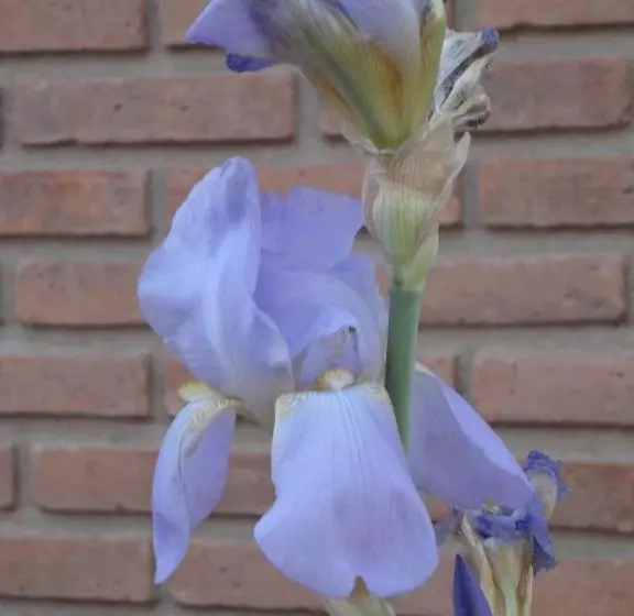 Retkeilymaja Posada La Escondida