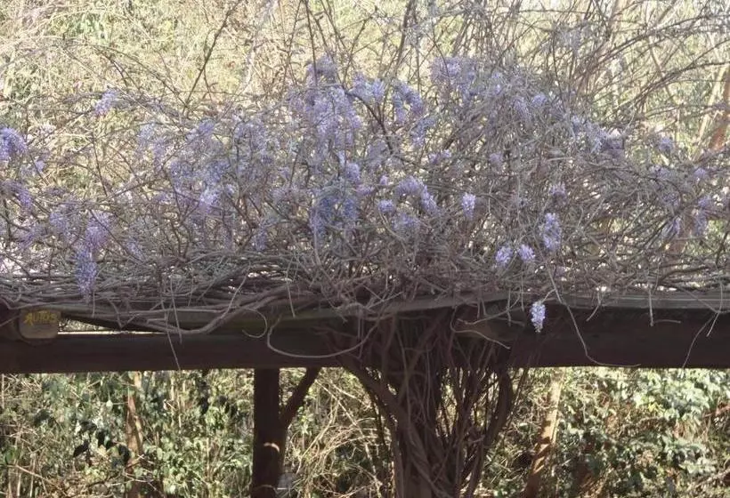 Retkeilymaja Posada La Escondida