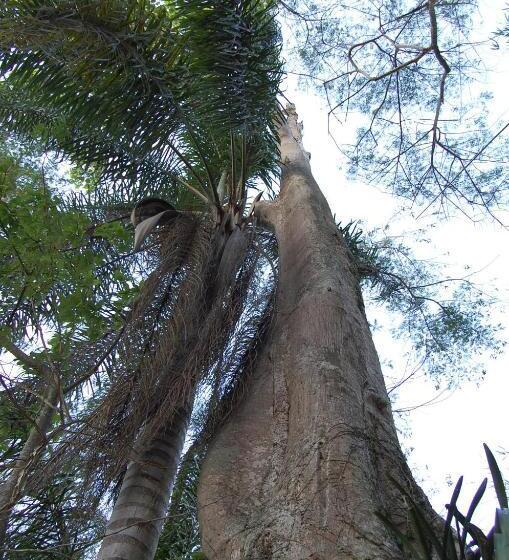 호텔 Fazenda Cachoeira Grande