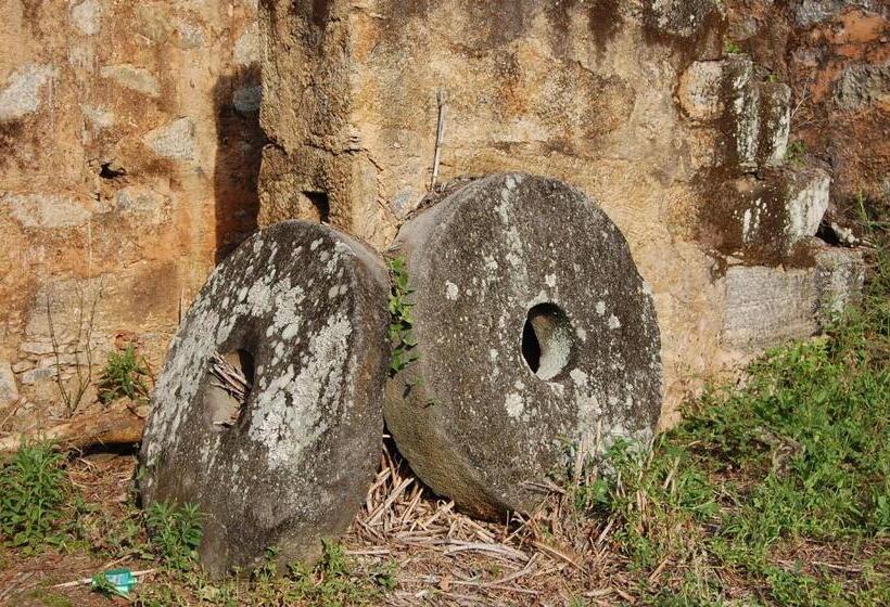 호텔 Fazenda Cachoeira Grande