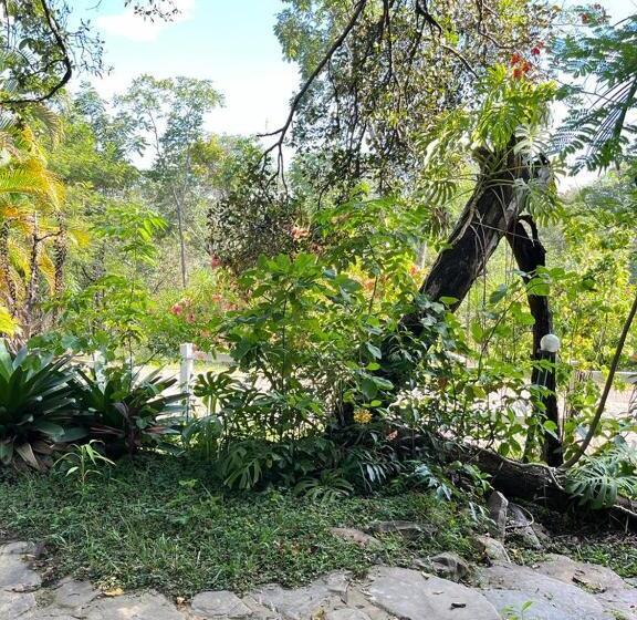 Отель Fazenda Tia Dora