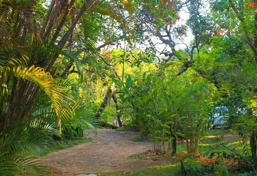 Отель Fazenda Tia Dora