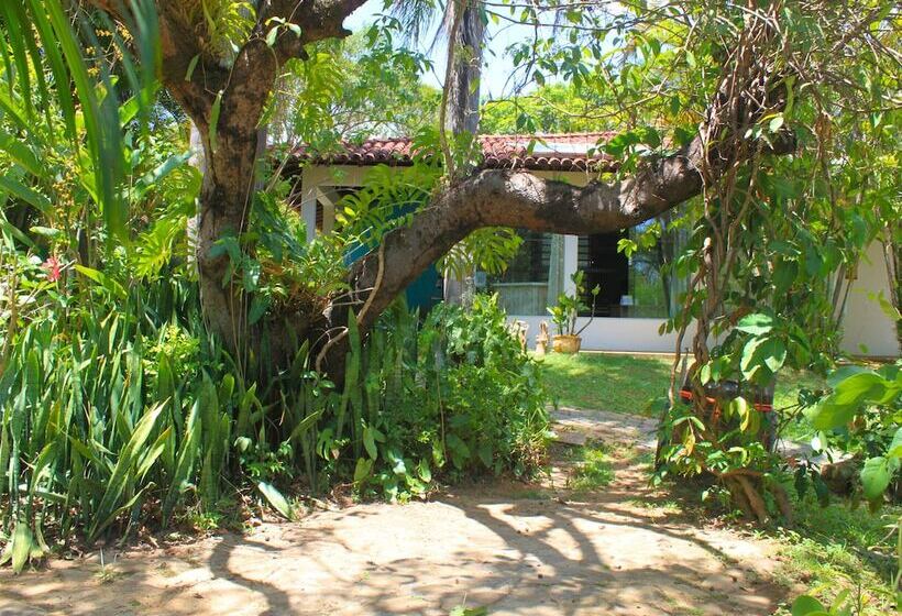 Отель Fazenda Tia Dora