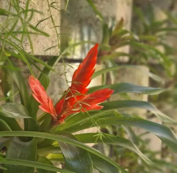 Majatalo Pousada Rubi