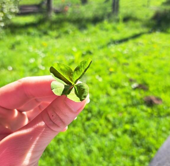 پانسیون Guest House Kveder