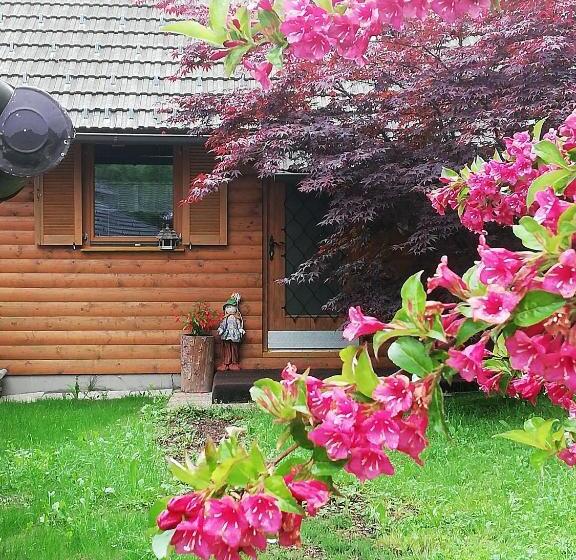 پانسیون Guest House Kveder