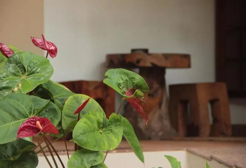 ペンション Alamanda Alleppey Beach Elegant 3bhk Guest House Apartment