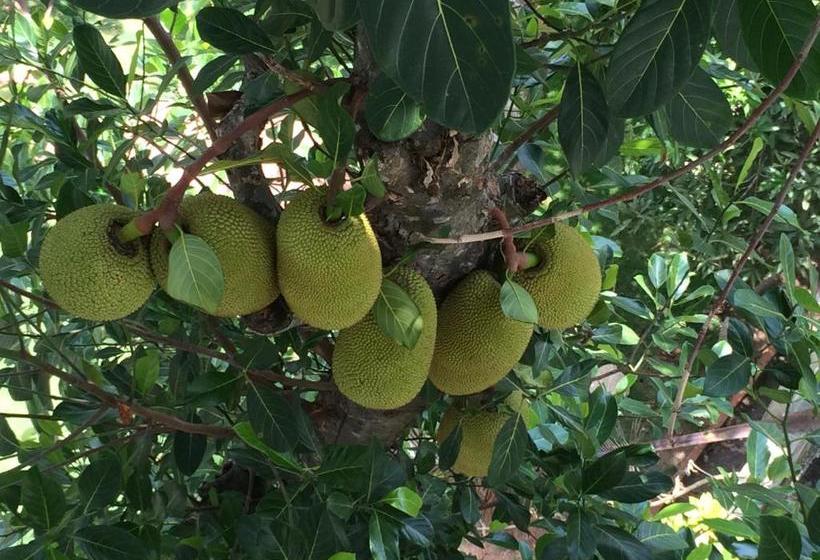 بنسيون Alamanda Alleppey Beach Elegant 3bhk Guest House Apartment