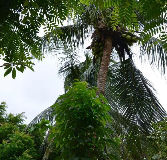 پانسیون Pousada Gincoara