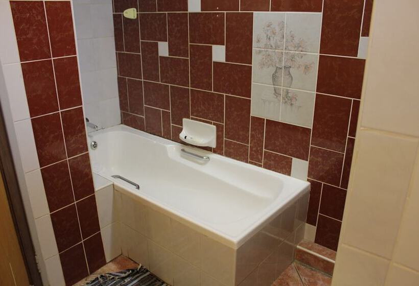 膳宿费 Tzaneen Guest House