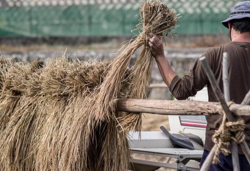 פנסיון 88 House Hiroshima