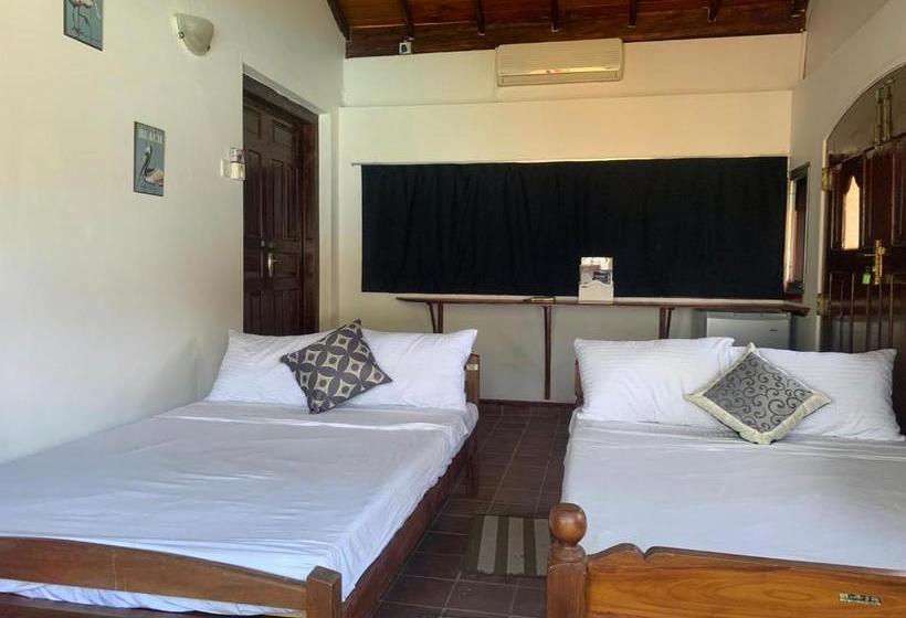 بنسيون Airy Dale Villa And Guesthouse