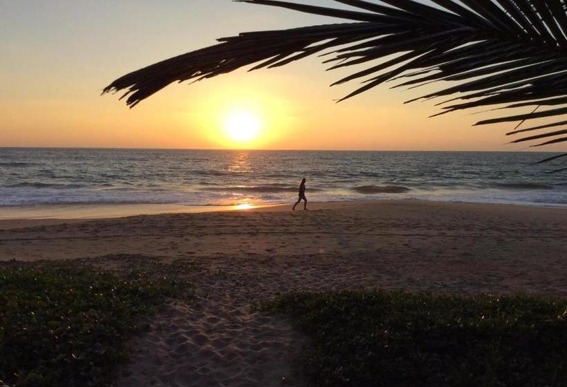 بنسيون Airy Dale Villa And Guesthouse