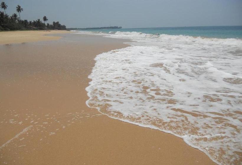 بنسيون Airy Dale Villa And Guesthouse