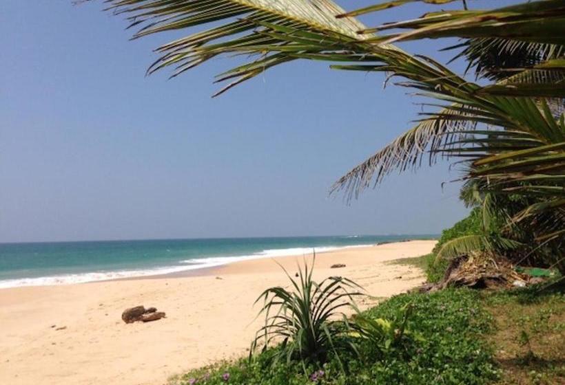 بنسيون Airy Dale Villa And Guesthouse