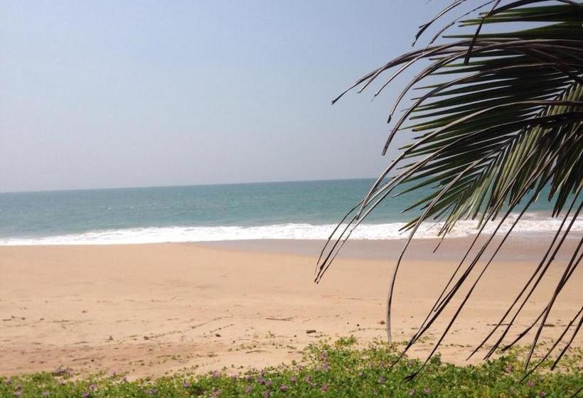 بنسيون Airy Dale Villa And Guesthouse