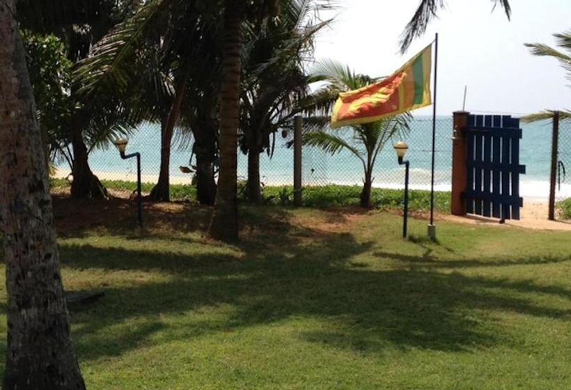 بنسيون Airy Dale Villa And Guesthouse