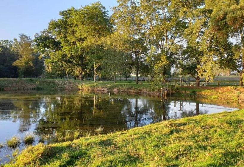 פנסיון Lentelus Guesthouse