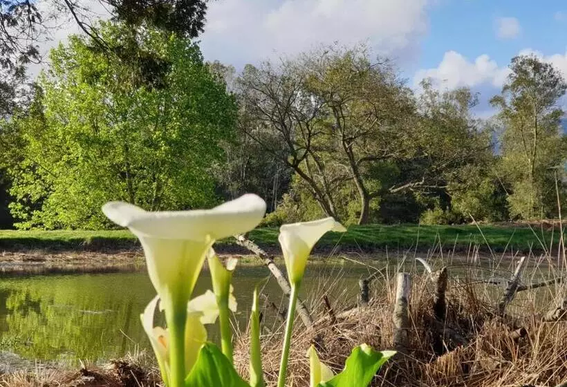 Majatalo Lentelus Guesthouse