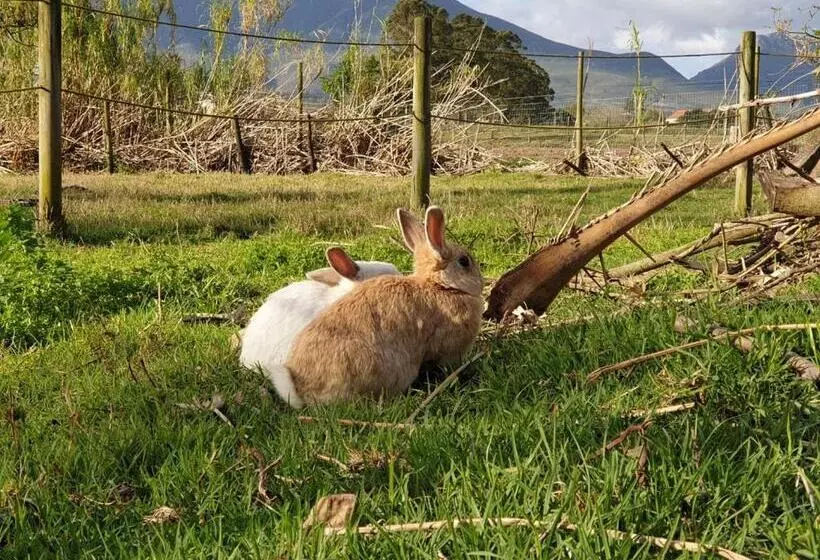 Majatalo Lentelus Guesthouse